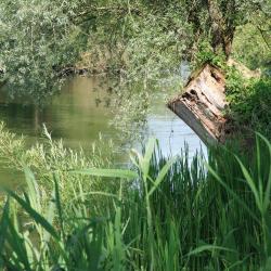 沃海根 7家住宿