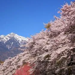 甲府 3家日式旅馆