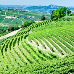 内伊韦 12家带泳池的酒店