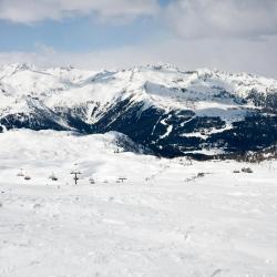 佛加里达 54家滑雪度假村