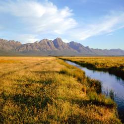 Hermon 6家带泳池的酒店