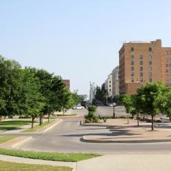 肖尼 5家带泳池的酒店