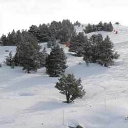 塔瓦斯坎 6家滑雪度假村