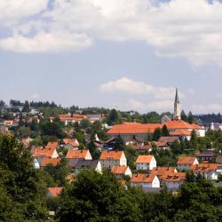 弗赖翁 39家带泳池的酒店