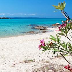 卡洛吉亚 7家住宿