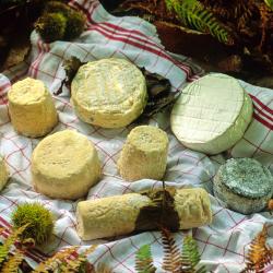 拉克雷奇 9家住宿