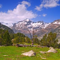 埃里斯特 6家宠物友好酒店