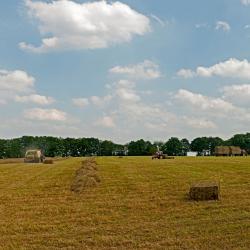 瓦勒海姆 13家带停车场的酒店