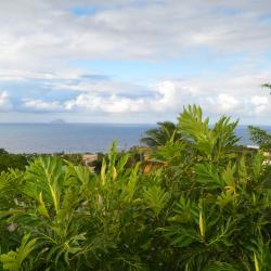 Cudjoe Head