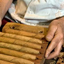 圣地亚哥洛斯卡巴 98家度假短租房