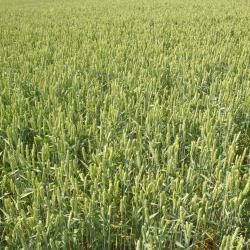 卑尔根 5家带停车场的酒店