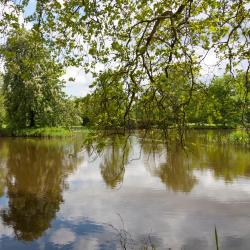 柯尼希斯布伦 8家带停车场的酒店