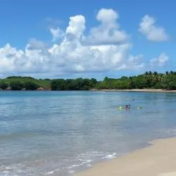 拉特里尼泰 101家海滩短租房