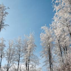 沙特瓦尔德 15家滑雪度假村