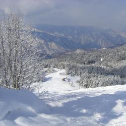 饭山市 9家旅馆