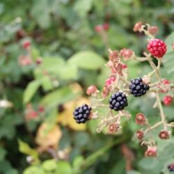 Neukirchen 3家Spa酒店