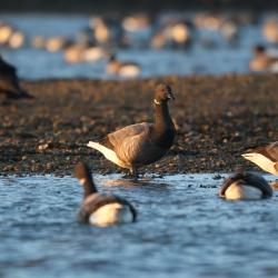 多纳贝特 4家带停车场的酒店