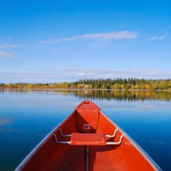 艾伯特亲王城 4家带泳池的酒店