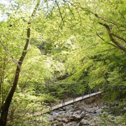 东伊豆町 25家温泉住宿