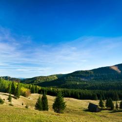 梅希莱尼采 22家带停车场的酒店