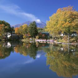 长野原 5家自助式住宿