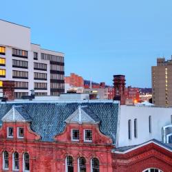 沃特伯里 4家宠物友好酒店