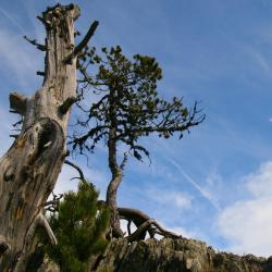 阿赫尔 3家带泳池的酒店