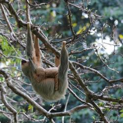 Birr&iacute; 3家带停车场的酒店