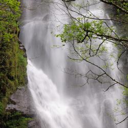比拉德劳 8家带泳池的酒店