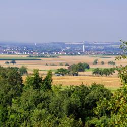 兰格瑙 9家住宿