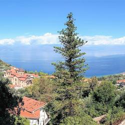 Pl&aacute;tanos 3家自助式住宿