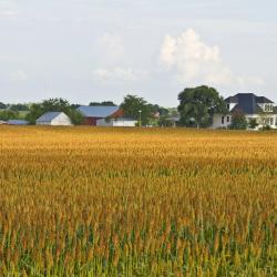 梅里迪恩 21家带停车场的酒店