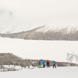 Borgafjäll 6家度假短租房