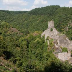 曼德沙伊德 7家宠物友好酒店