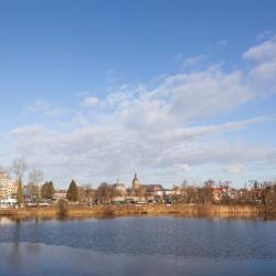 莱尔丹 5家低价酒店