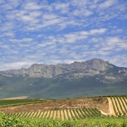 比利亚布纳德阿拉瓦 3家低价酒店