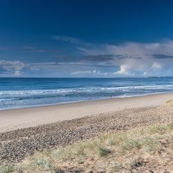 Shoalhaven Heads 14家度假短租房