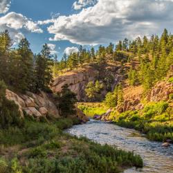 格兰德岛 8家宠物友好酒店