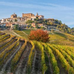 拉莫拉 34家带泳池的酒店