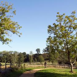 莱塞比耶 81家住宿