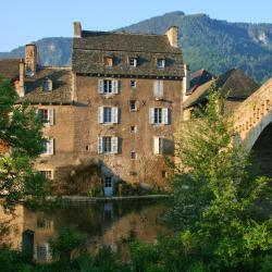 芒德 4家带泳池的酒店