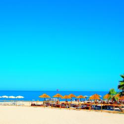 西维尔诺瓦&middot;马尔凯 233家住宿