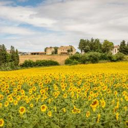 雷卡纳蒂港 157家住宿