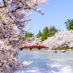 青森 74家带停车场的酒店