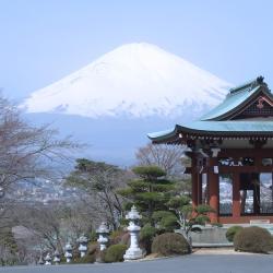 御殿场市 14家自助式住宿