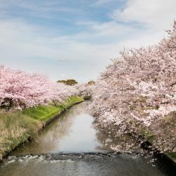 船桥市 6家带热水浴缸的酒店