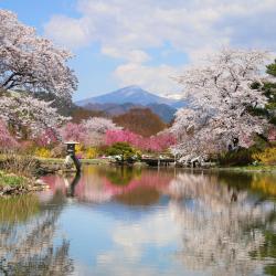 郡山 52家带停车场的酒店