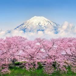 静冈 5家日式旅馆
