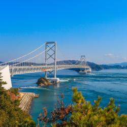 德岛