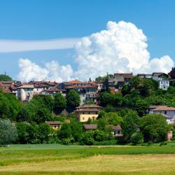 亚历山德里亚 43家带停车场的酒店